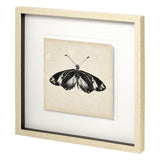 Butterfly Study VI by Melissa Wang a Hand Embellished Textured Framed Art Print Matted under Glass from Mercana - Luna Furniture