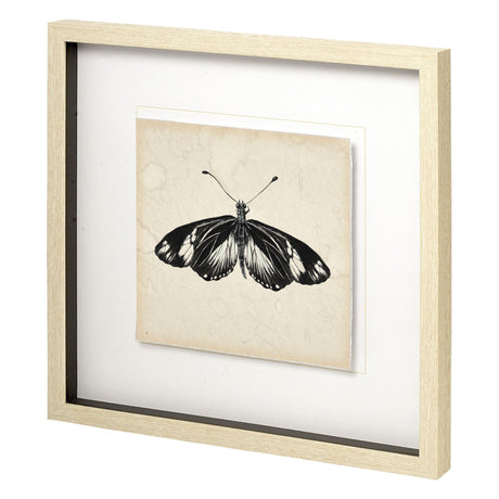 Butterfly Study VI by Melissa Wang a Hand Embellished Textured Framed Art Print Matted under Glass from Mercana - Luna Furniture