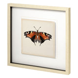 Butterfly Study IV by Melissa Wang a Hand Embellished Textured Framed Art Print Matted under Glass from Mercana - Luna Furniture