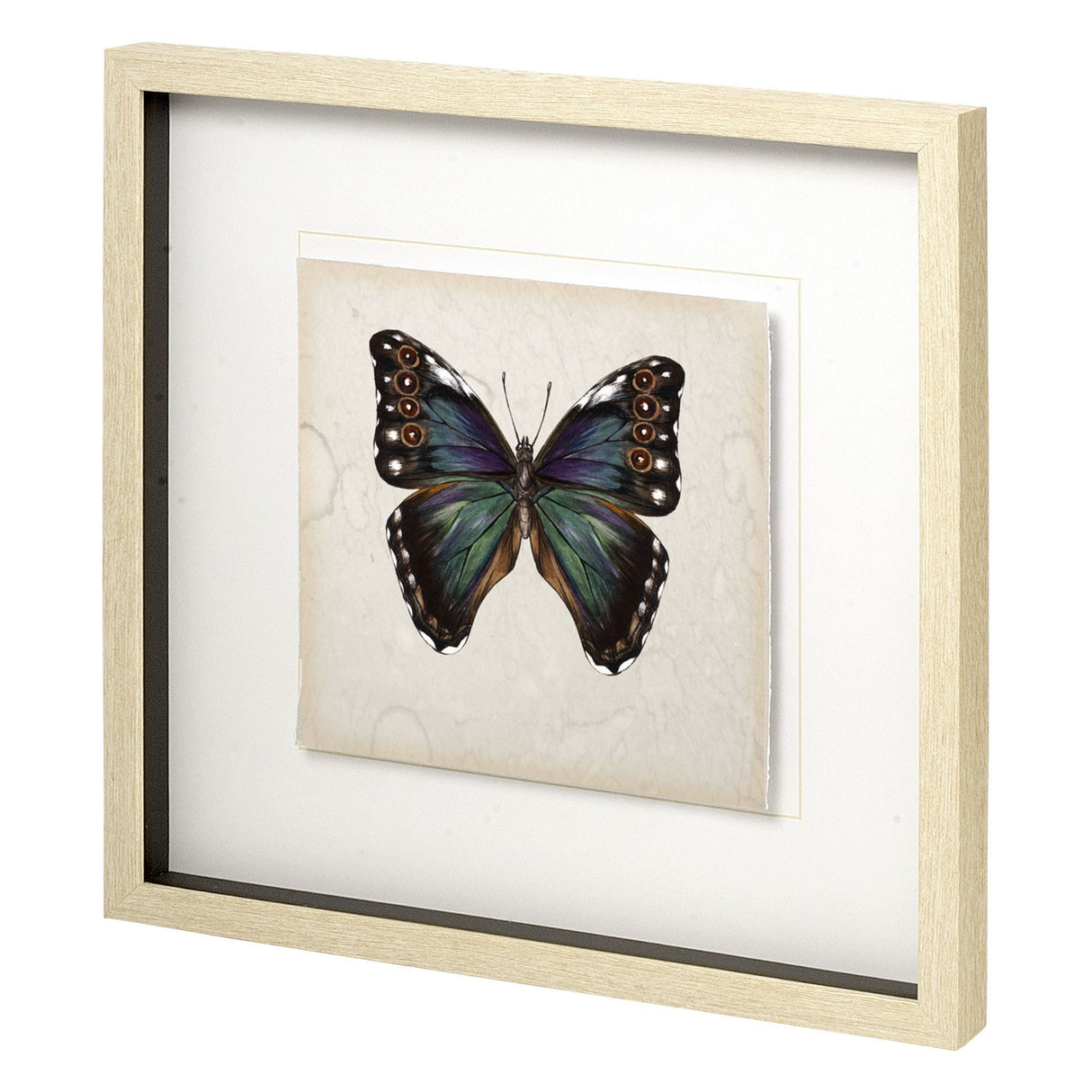 Butterfly Study III by Melissa Wang a Hand Embellished Textured Framed Art Print Matted under Glass from Mercana - Luna Furniture
