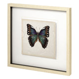 Butterfly Study III by Melissa Wang a Hand Embellished Textured Framed Art Print Matted under Glass from Mercana - Luna Furniture