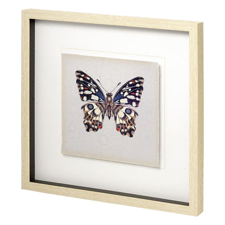Butterfly Study II by Melissa Wang a Hand Embellished Textured Framed Art Print Matted under Glass from Mercana - Luna Furniture