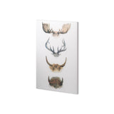 Horn & Tail Study II by Mercana Studio a Hand Embellished Textured Canvas from Mercana - Luna Furniture