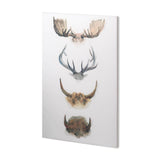 Horn & Tail Study II by Mercana Studio a Hand Embellished Textured Canvas from Mercana - Luna Furniture