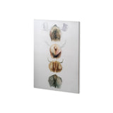 Horn & Tail Study I by Mercana Studio a Hand Embellished Textured Canvas from Mercana - Luna Furniture