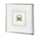 Vintage Crab by Mercana Studio a Framed Art Print Matted under Glass from Mercana - Luna Furniture