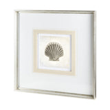 Vintage Scallop Shell by Mercana Studio a Framed Art Print Matted under Glass from Mercana - Luna Furniture