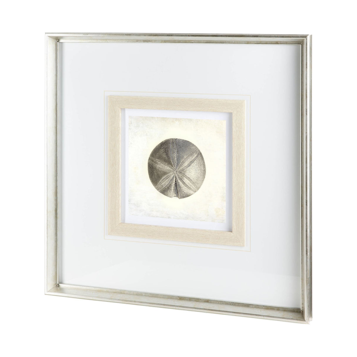 Vintage Sand Dollar by Mercana Studio a Framed Art Print Matted under Glass from Mercana - Luna Furniture