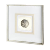 Vintage Sand Dollar by Mercana Studio a Framed Art Print Matted under Glass from Mercana - Luna Furniture