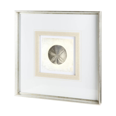 Vintage Sand Dollar by Mercana Studio a Framed Art Print Matted under Glass from Mercana - Luna Furniture