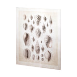 Ocean Shell Collection I by Christopher James a Hand Embellished Textured Canvas from Mercana - Luna Furniture