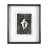 Dark Coastal I by Mercana Studio a Hand Embellished Textured Framed Art Print Matted under Glass from Mercana - Luna Furniture