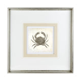 Vintage Crab by Mercana Studio a Framed Art Print Matted under Glass from Mercana - Luna Furniture