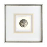 Vintage Sand Dollar by Mercana Studio a Framed Art Print Matted under Glass from Mercana - Luna Furniture