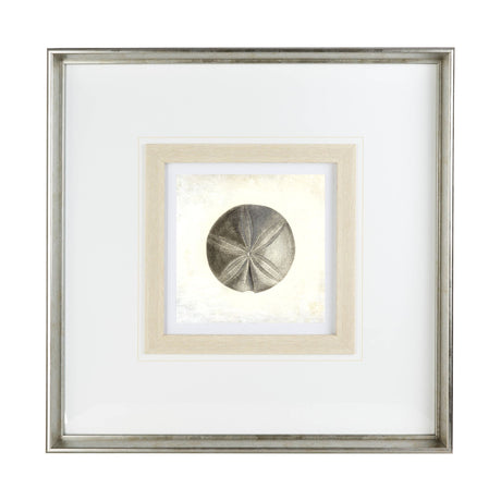 Vintage Sand Dollar by Mercana Studio a Framed Art Print Matted under Glass from Mercana - Luna Furniture