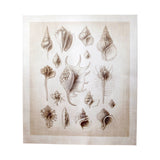 Ocean Shell Collection II by Christopher James a Hand Embellished Textured Canvas from Mercana - Luna Furniture