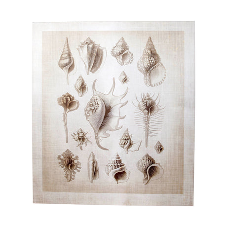 Ocean Shell Collection II by Christopher James a Hand Embellished Textured Canvas from Mercana - Luna Furniture