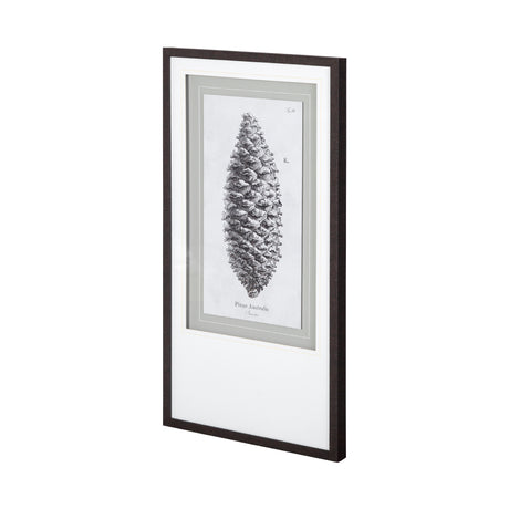 Pinus Australis by Maria Mendez a Framed Art Print Matted under Glass from Mercana - Luna Furniture