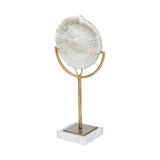 Sandy III (Large) 8L x 4W White Coastal Sand Dollar Object from Mercana - Luna Furniture