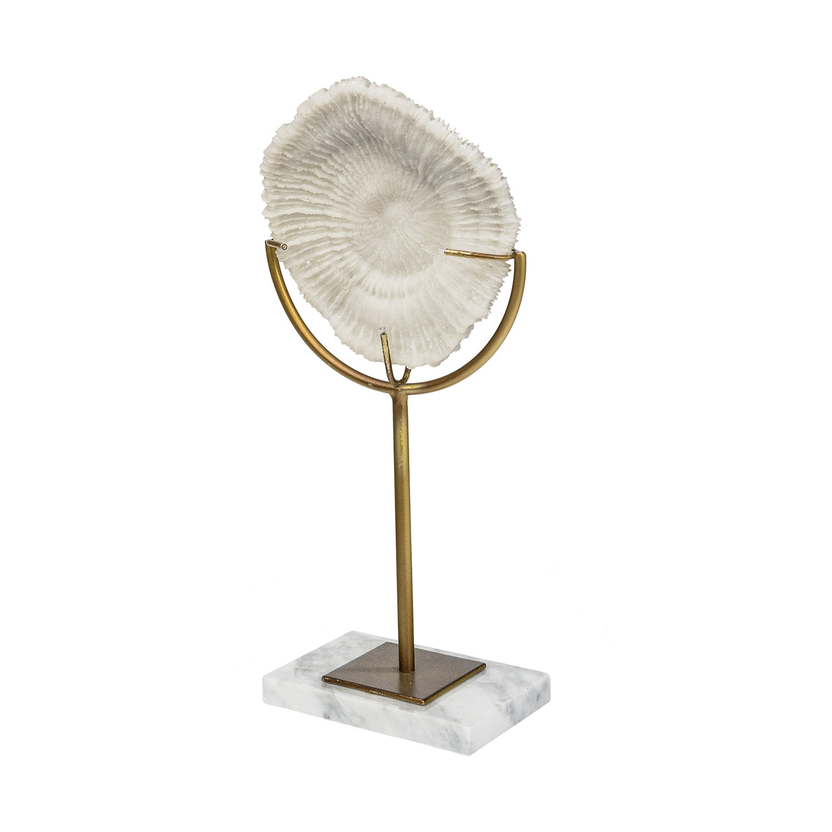 Sandy II (Medium) 6L x 3W White Coastal Sand Dollar Object from Mercana - Luna Furniture