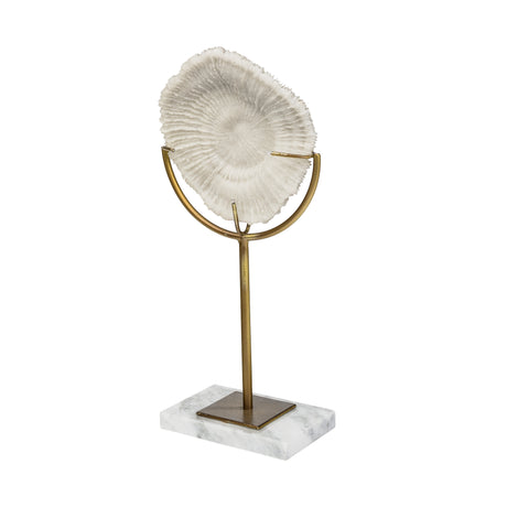 Sandy II (Medium) 6L x 3W White Coastal Sand Dollar Object from Mercana - Luna Furniture