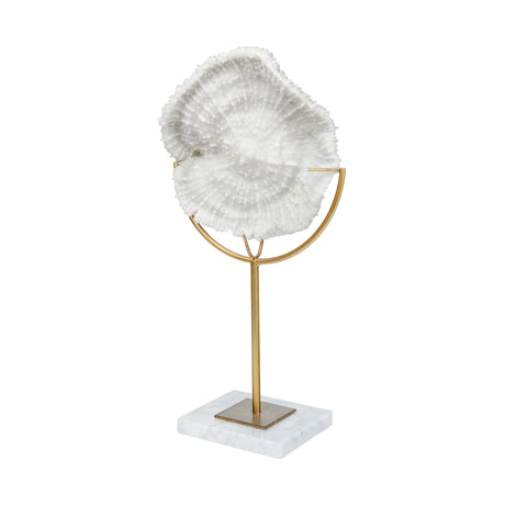 Sandy I (Small) 6L x 3W White Coastal Sand Dollar Object from Mercana - Luna Furniture