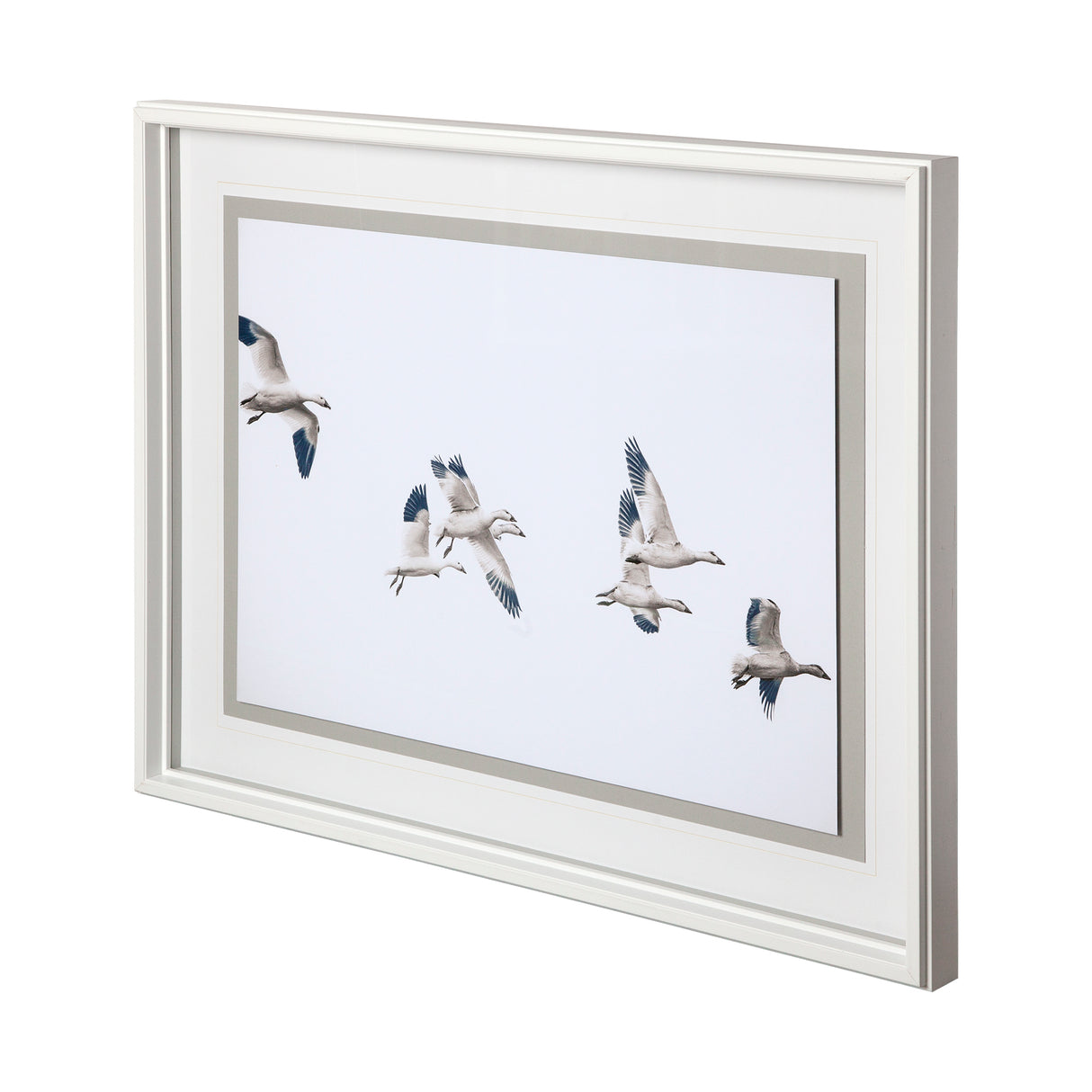 Winged Migration by Nancy Crowell a Framed Photo Art Print Matted under Glass from Mercana - Luna Furniture