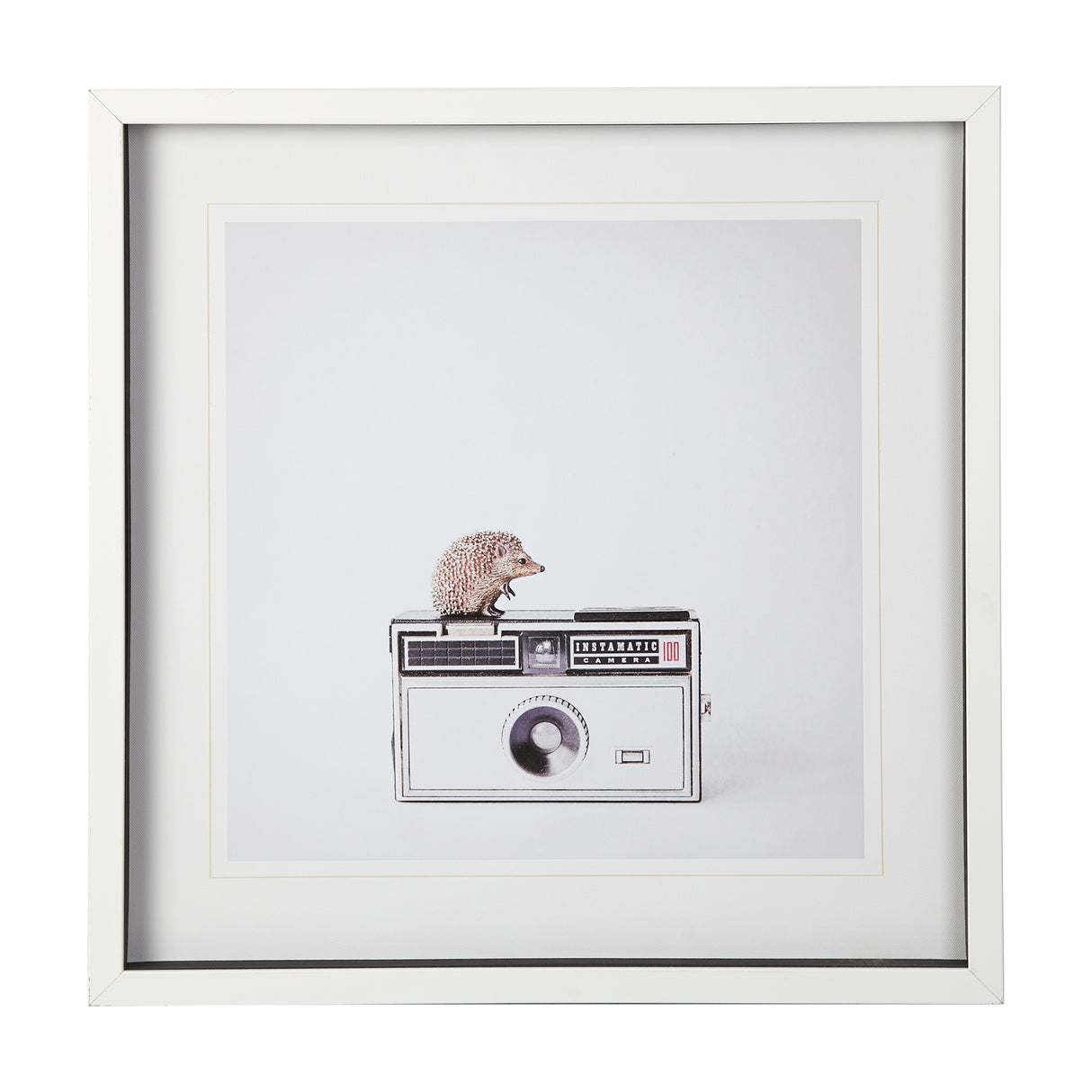 Hedgehog & Vintage Camera by Susannah Tucker Photography a Framed Photo Art Print Matted under Glass from Mercana - Luna Furniture