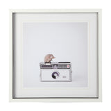 Hedgehog & Vintage Camera by Susannah Tucker Photography a Framed Photo Art Print Matted under Glass from Mercana - Luna Furniture