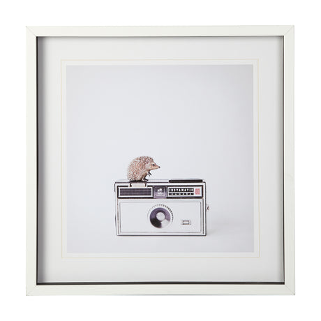 Hedgehog & Vintage Camera by Susannah Tucker Photography a Framed Photo Art Print Matted under Glass from Mercana - Luna Furniture