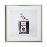 T-rex & Vintage Camera by Susannah Tucker Photography a Framed Photo Art Print Matted under Glass from Mercana - Luna Furniture