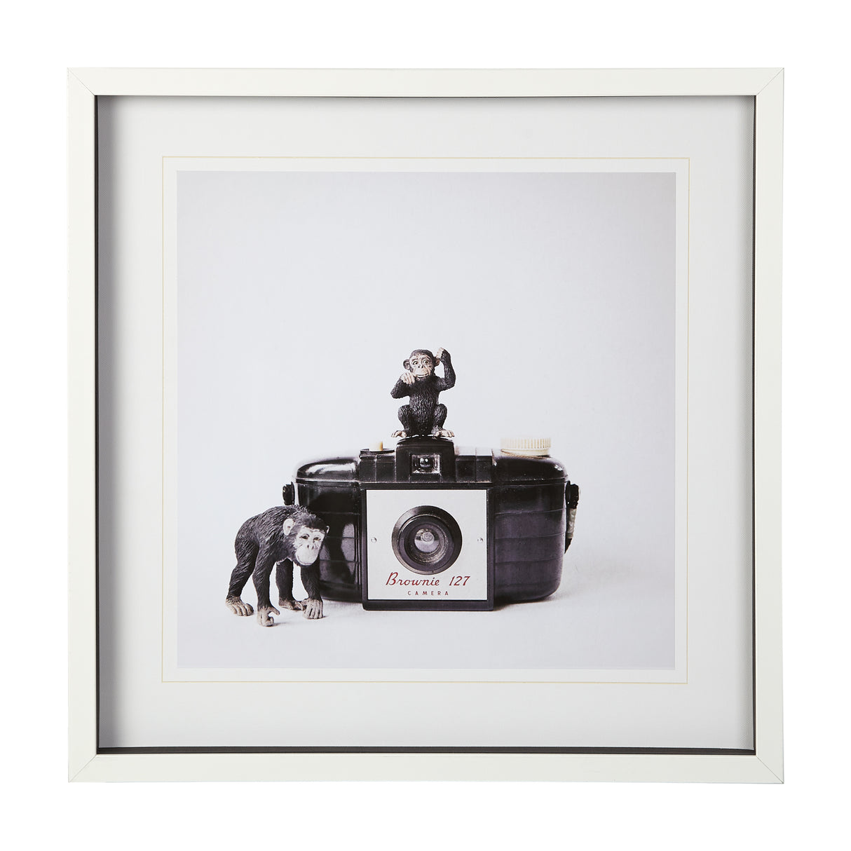 Monkeys & Vintage Camera by Susannah Tucker Photography a Framed Photo Art Print Matted under Glass from Mercana - Luna Furniture