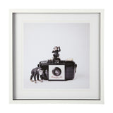 Monkeys & Vintage Camera by Susannah Tucker Photography a Framed Photo Art Print Matted under Glass from Mercana - Luna Furniture