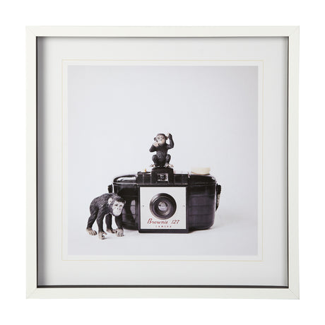 Monkeys & Vintage Camera by Susannah Tucker Photography a Framed Photo Art Print Matted under Glass from Mercana - Luna Furniture
