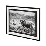 B&W Longhorn II by Tyler Stockton a Framed Photo Art Print Matted under Glass from Mercana - Luna Furniture