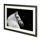 Bridled Beauty by KaCee Erle a Hand Embellished Textured Framed Photo Art Print Matted under Glass from Mercana - Luna Furniture