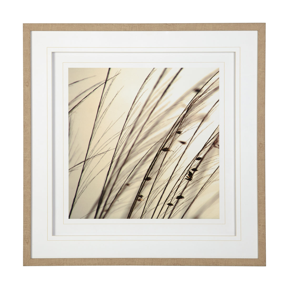 Organic I by Tony Koukos a Hand Embellished Textured Framed Art Photograph Matted under Glass from Mercana - Luna Furniture