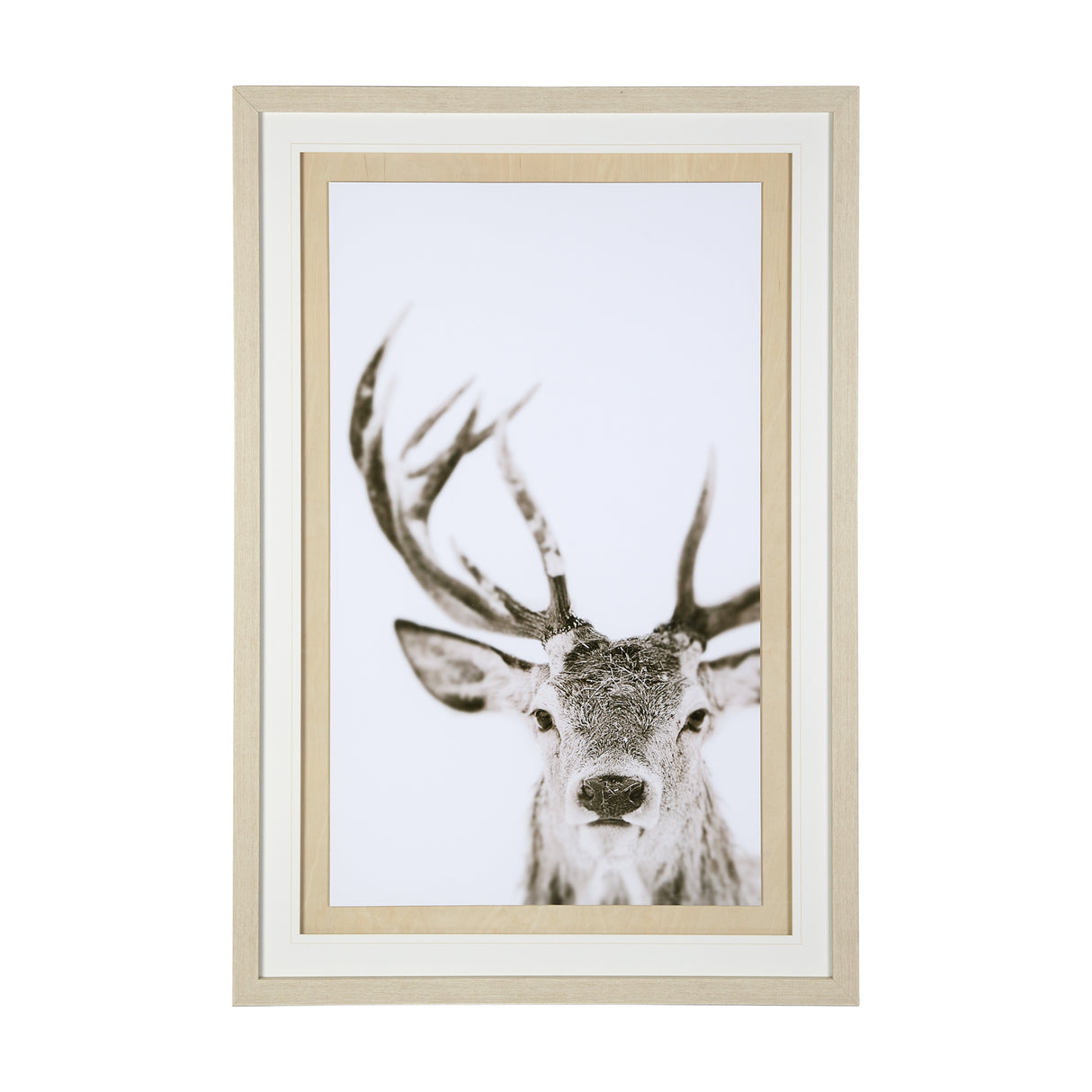 Ciervo 1 by THE Studio a Framed Photo Art Print Matted under Glass from Mercana - Luna Furniture