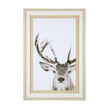 Ciervo 1 by THE Studio a Framed Photo Art Print Matted under Glass from Mercana - Luna Furniture