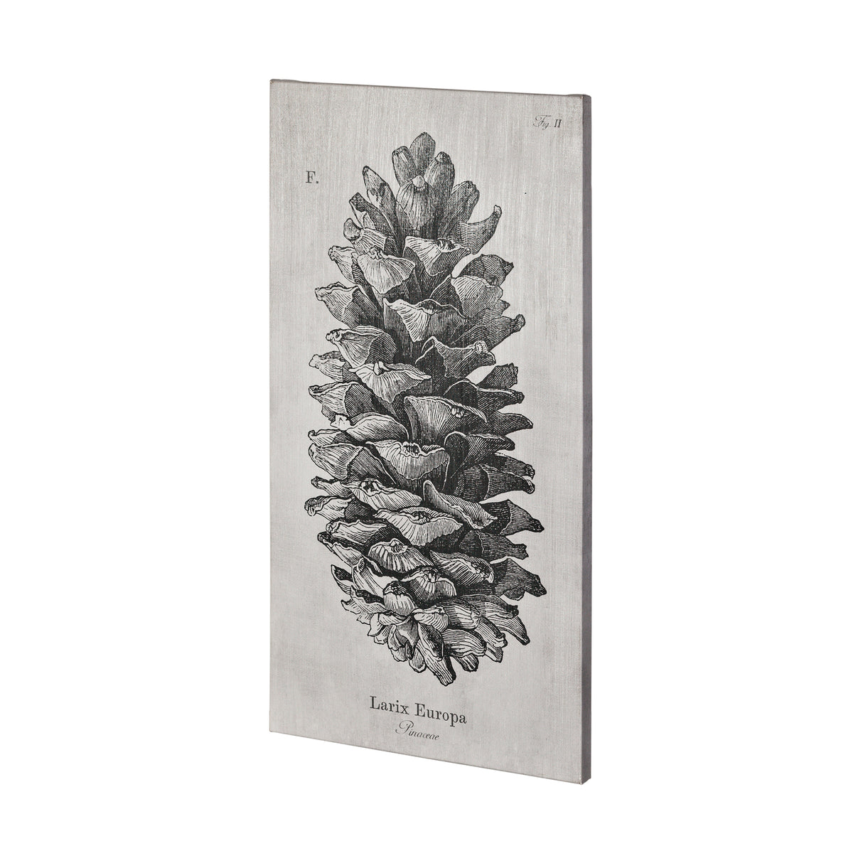 Larix Europa by Mercana Studio a Hand Embellished Textured Canvas from Mercana - Luna Furniture