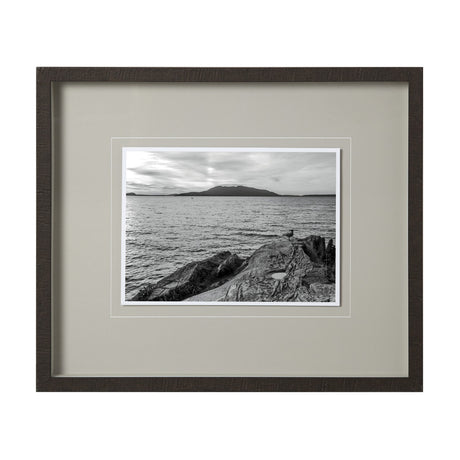 Samish Bay, Washington by Bisig, Steve a Framed Photo Art Print Matted under Glass from Mercana - Luna Furniture