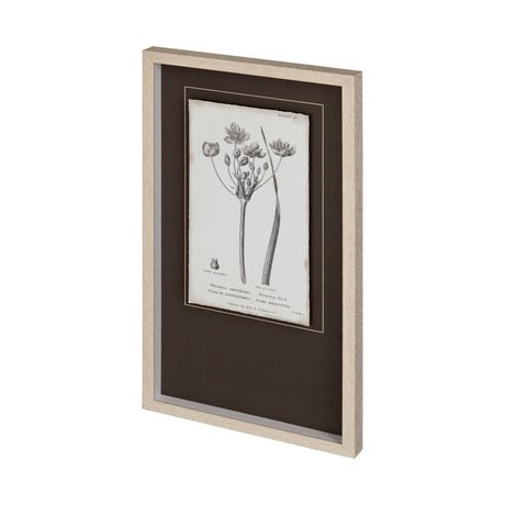 Conversations on Botany II by Mercana Studio Hand Embellished Framed Art Print Matted under Glass from Mercana - Luna Furniture
