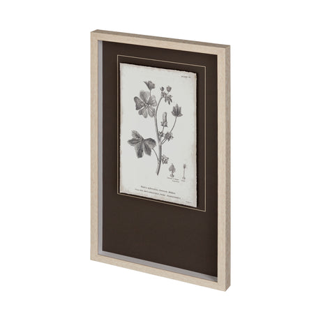 Conversations on Botany VII by Mercana Studio Hand Embellished Framed Art Print Matted under Glass from Mercana - Luna Furniture