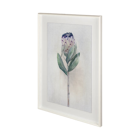 Sugarbush II by Panpan Zhang a Framed Art Print Matted under Glass from Mercana - Luna Furniture