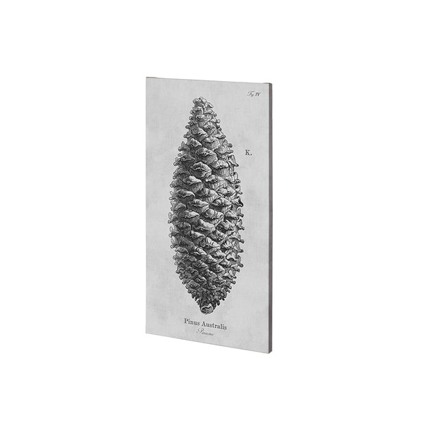 Pinus Australis by Mercana Studio a Hand Embellished Textured Canvas