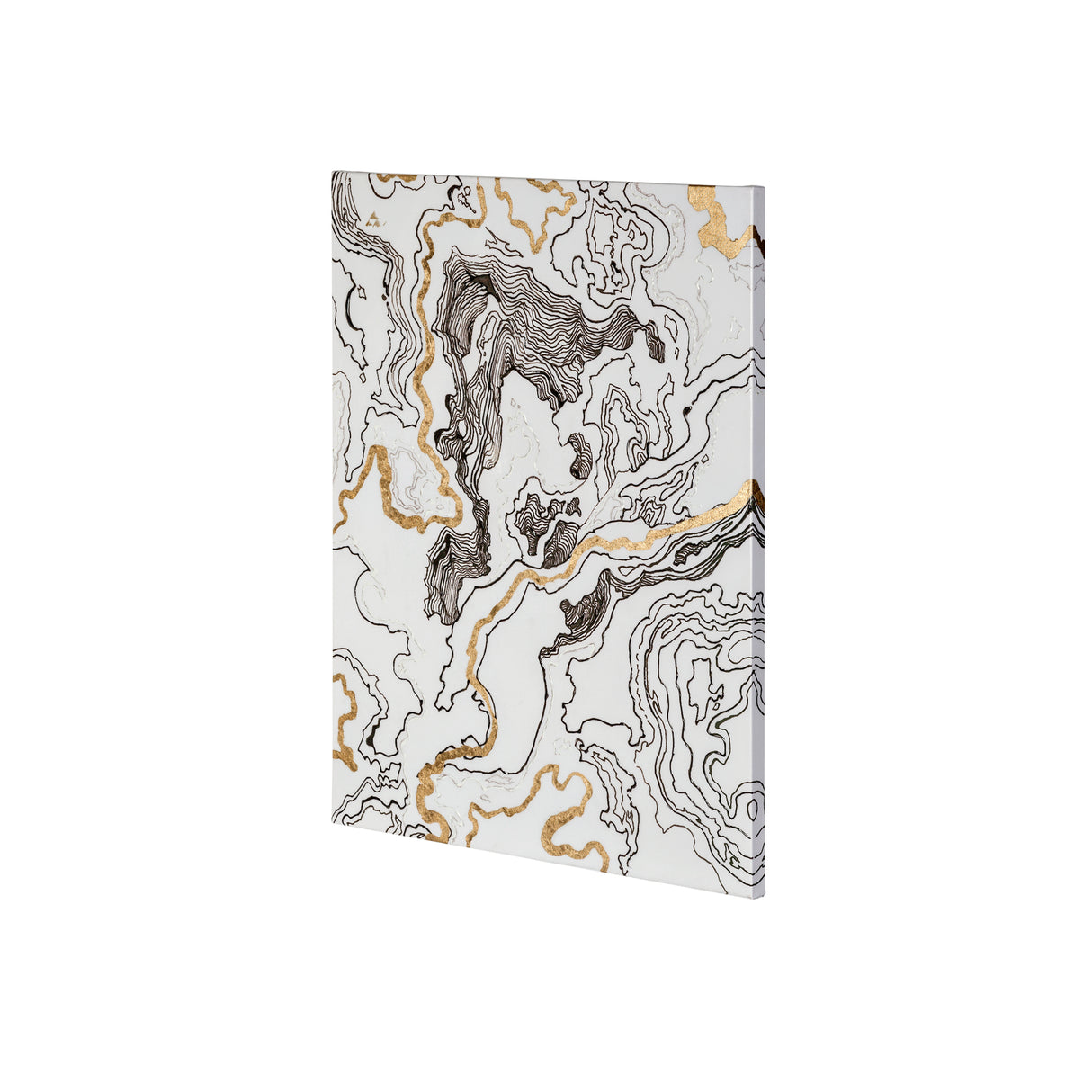 Topography I by Mercana Studio a Hand Embellished Textured Canvas from Mercana - Luna Furniture