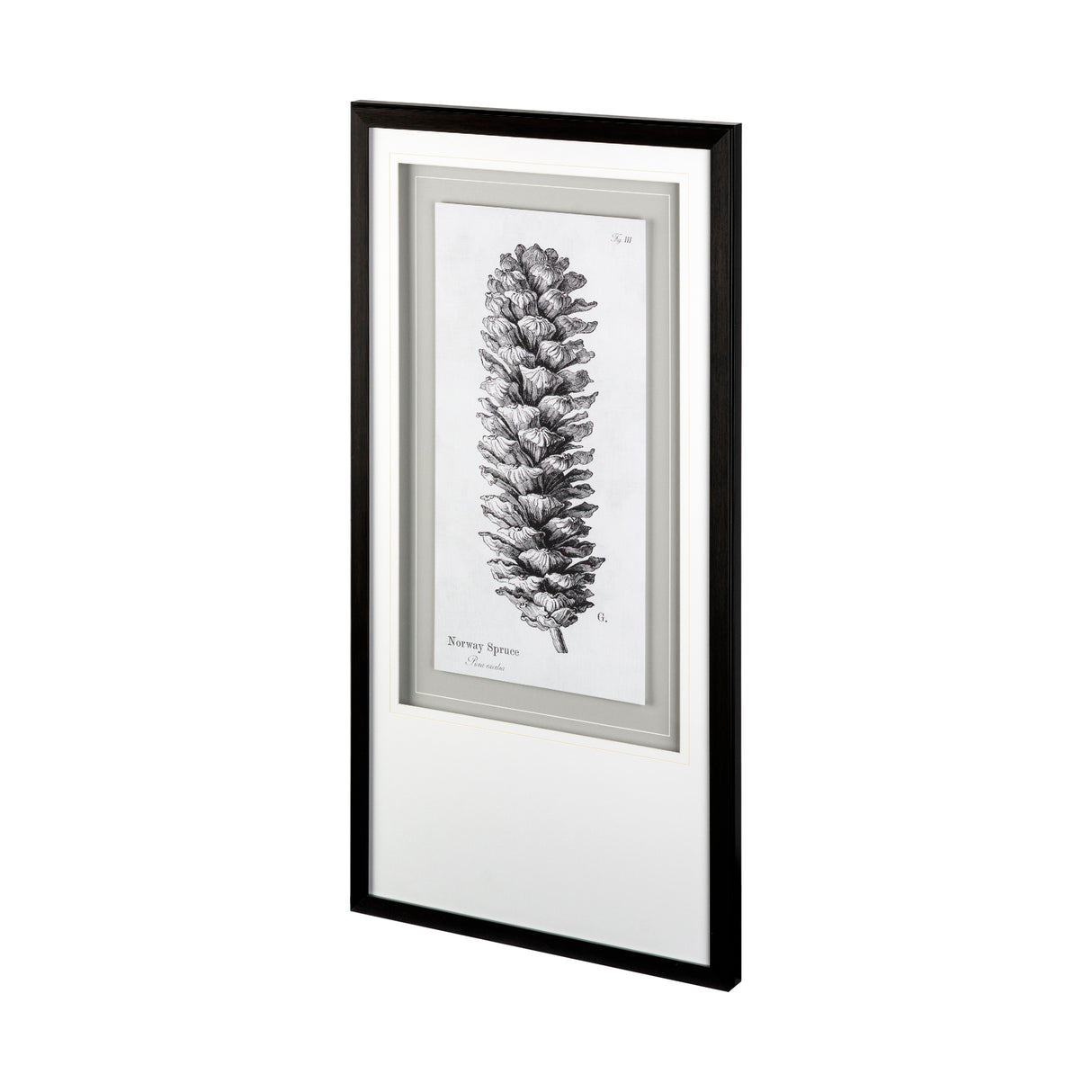 Norway Spruce by Maria Mendez a Framed Art Print Matted under Glass from Mercana - Luna Furniture