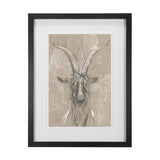 Sketch of Animal V (Goat) by Mercana Studio Hand Embellished Framed Art Print Matted under Glass from Mercana - Luna Furniture