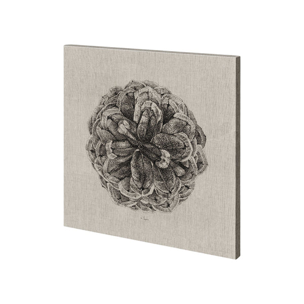 Cone of View I by Mercana Studio a Hand Embellished Textured Canvas