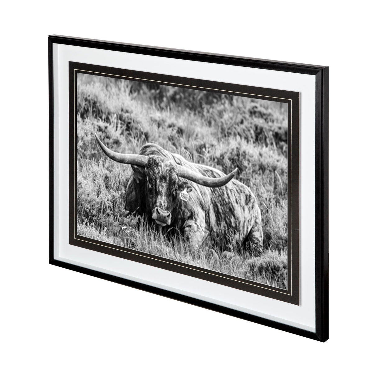 B&W Longhorn III by Tyler Stockton a Framed Photo Art Print Matted under Glass from Mercana - Luna Furniture